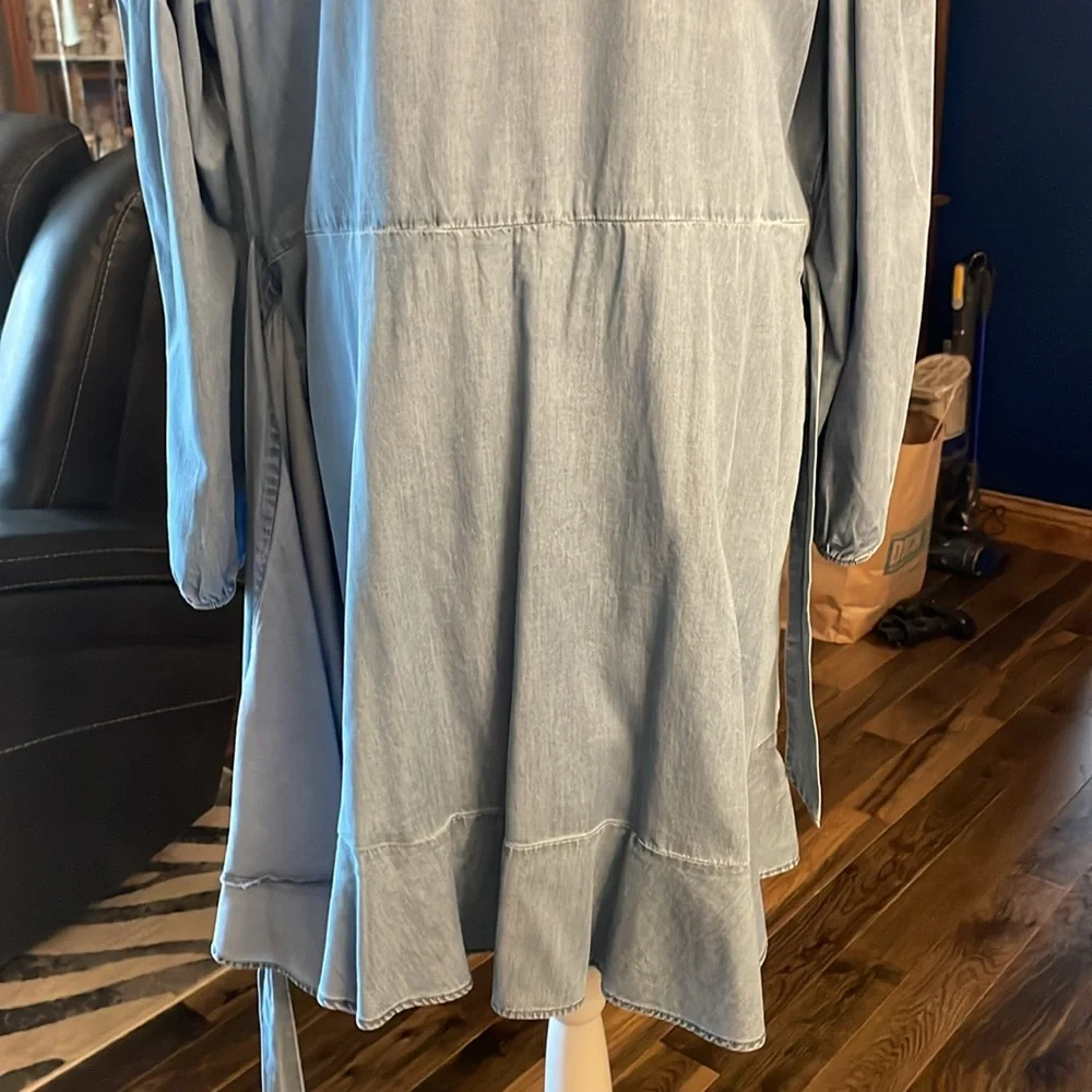 Cute Denim Dress by Express - Picture 15 of 16